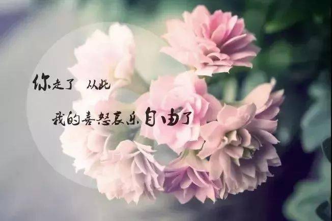 心酸2020,总结一下,别笑哈