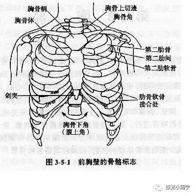 康复实践应用举例:胸骨角平对第2肋,为计数肋骨的标志;该点可作为
