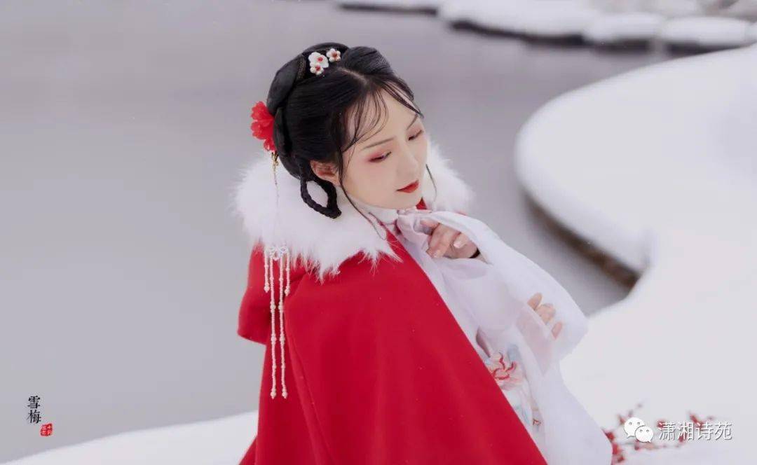 【古风摄影】雪梅
