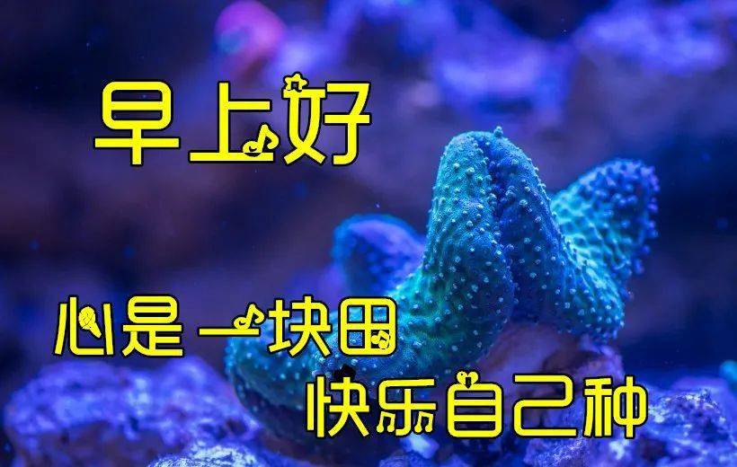 2021早上好图片清晨祝福动图 非常漂亮的早上好短信祝福图片