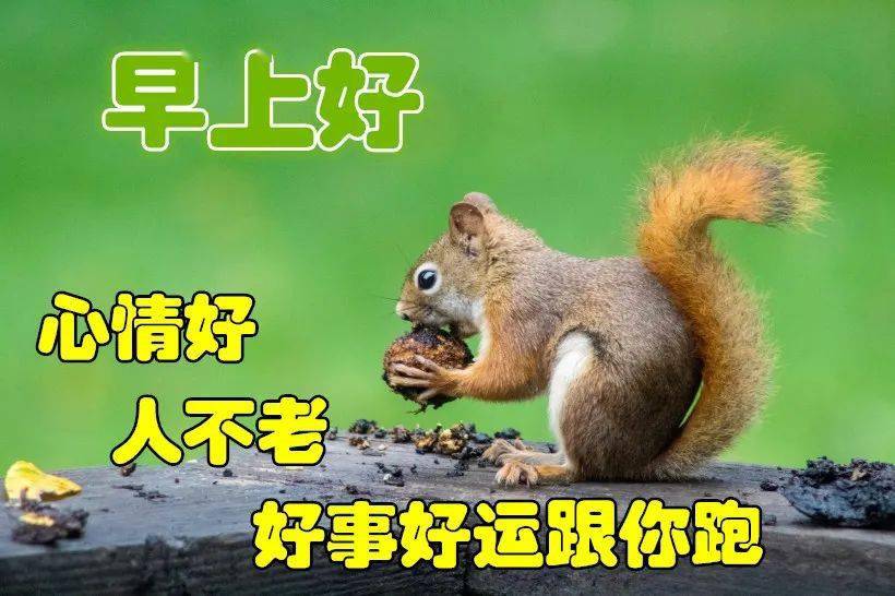 每天早上好的问候语百度一下免费下载早上好图片