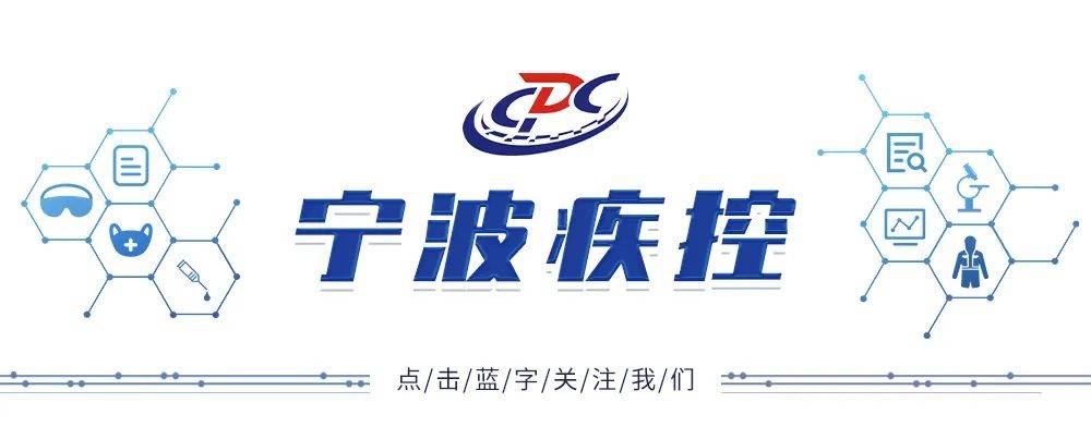 搜狐网