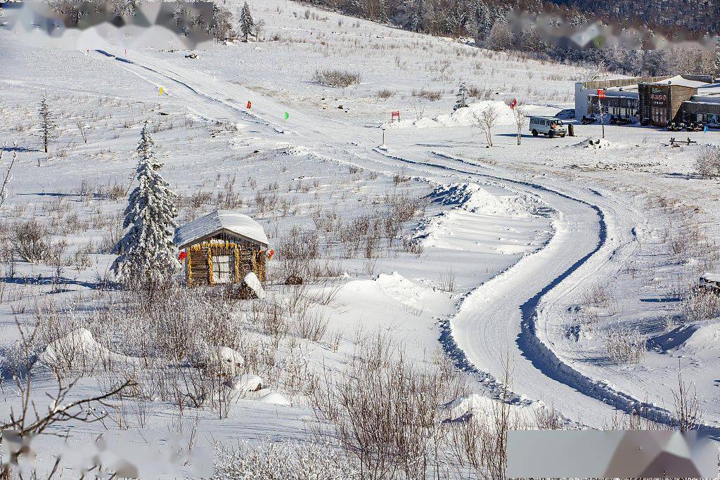 寒冬下的黑龙江雪乡国家森林公园雪景美不胜收