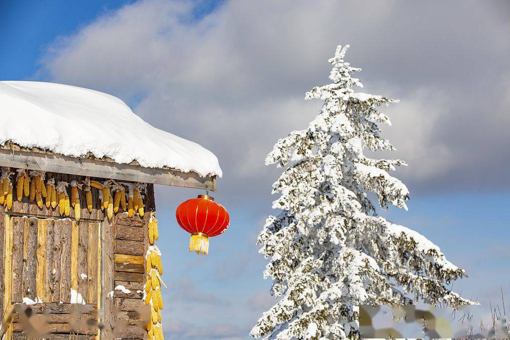 寒冬下的黑龙江雪乡国家森林公园雪景 美不胜收