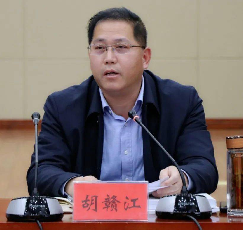 市委组织部副部长,党建办主任胡赣江对2020年度宿豫的基层党建工作