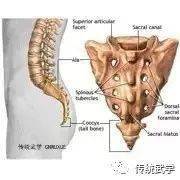 三,尾闾中正的内涵