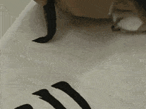 欧楷笔法——  撇画