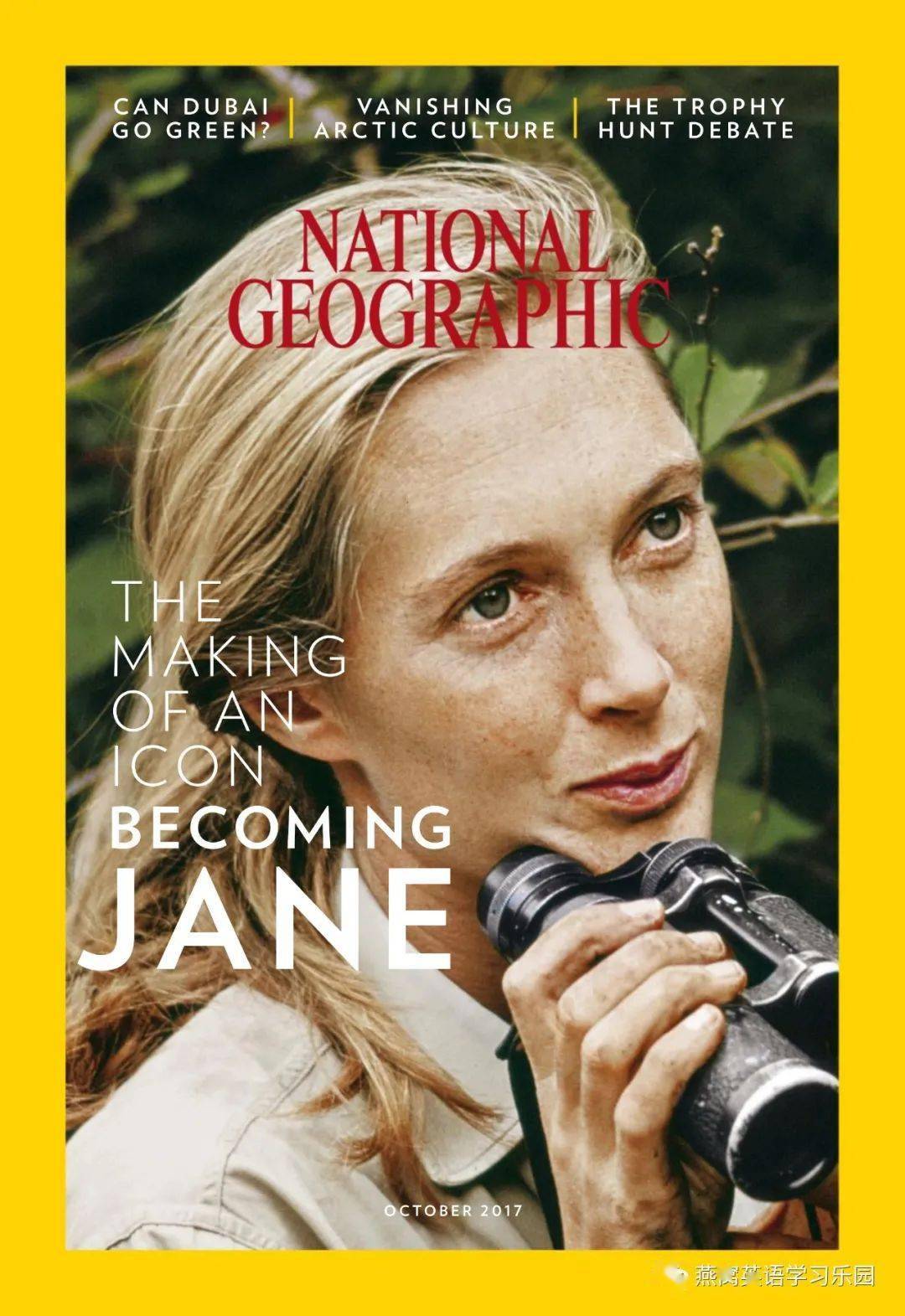 jane goodall, a student of african wildlife_纪录片