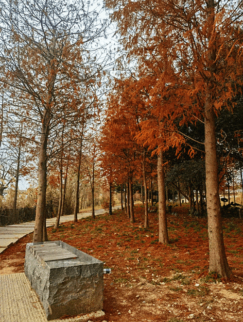 500_664 竖版 竖屏