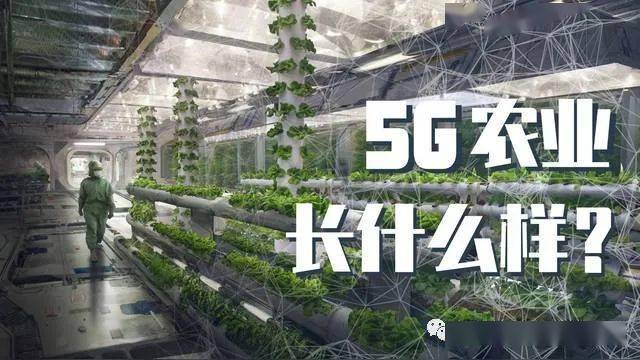 通过物联网技术,当地的蔬菜,水果基地都实现了在线管理模式,当地农民