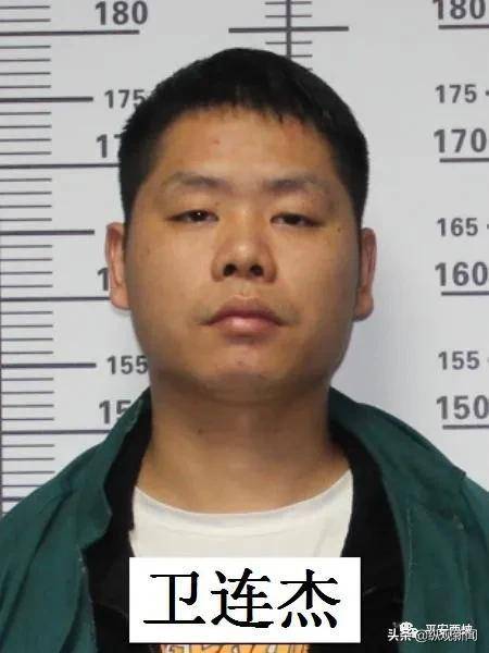 关于公开征集西峡县张丛璐等人违法犯罪线索的通告