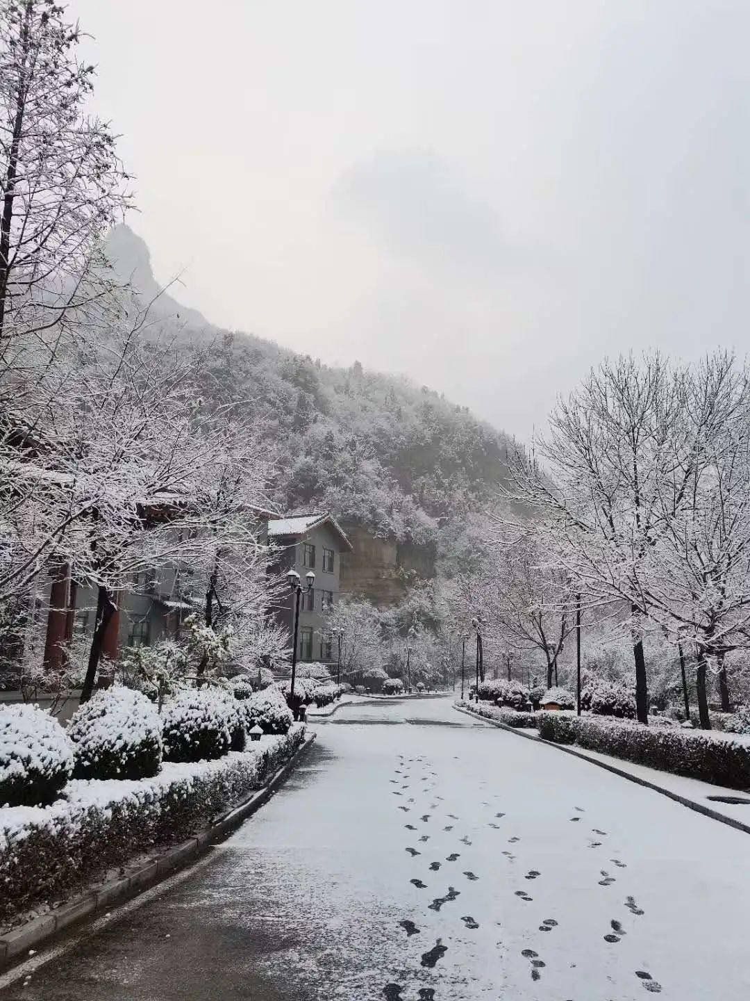 阳城2021年的第一场雪,你记录了吗?