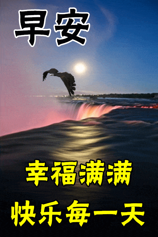 1月28日最漂亮早上好动态表情图片大全,早晨好动图美图大全