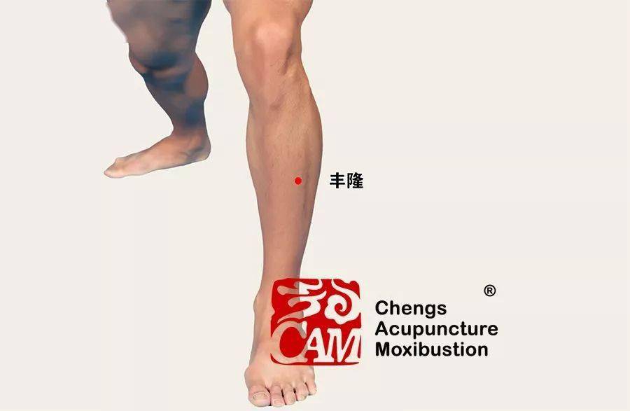 【每日穴习】承山,丰隆,巧调血脂