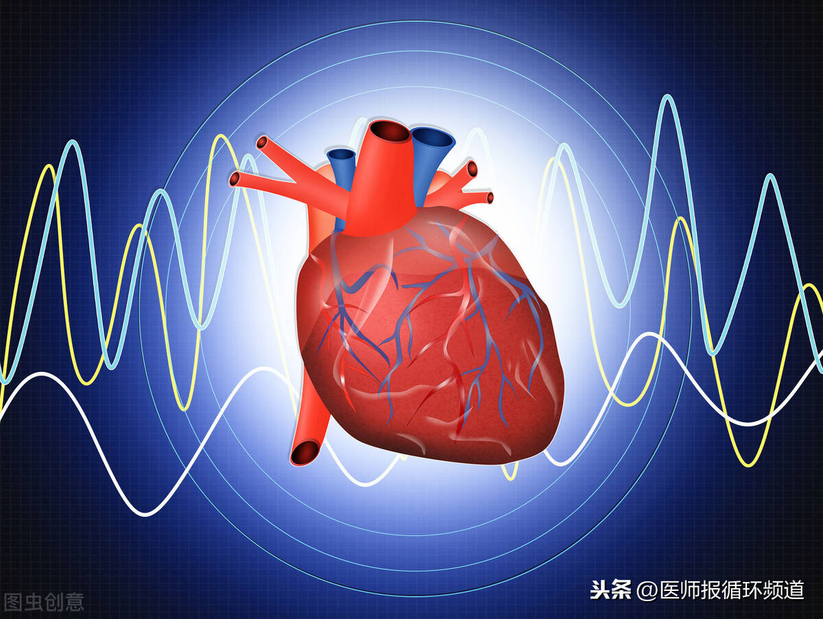 科学认识冠状动脉心肌桥