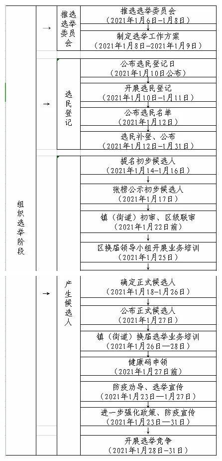 村(社区)"两委"换届选举工作流程图