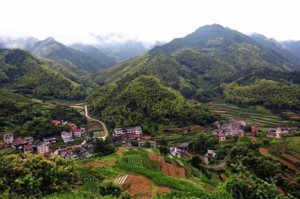 天台雷峰友义村悠悠古道上美丽新山村