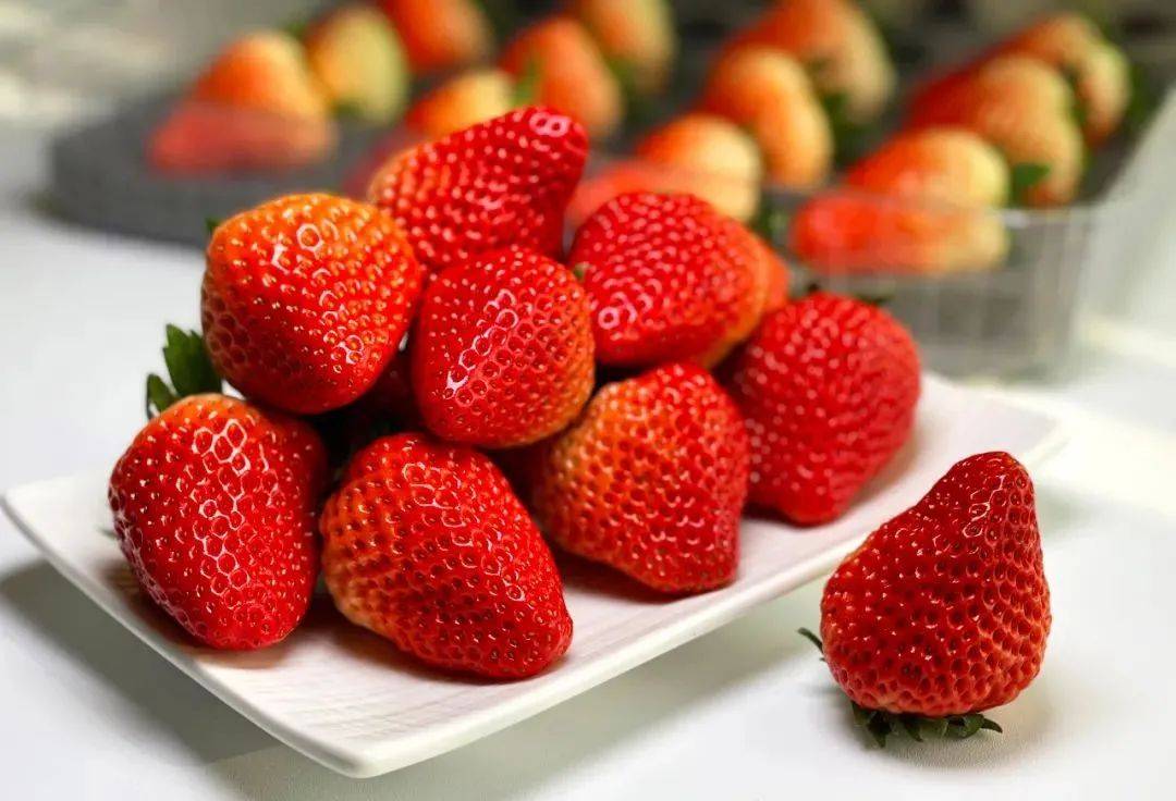 【东星超市丨亿适家店】丹东红颜九九草莓|"草莓中的爱马仕"奶香浓郁