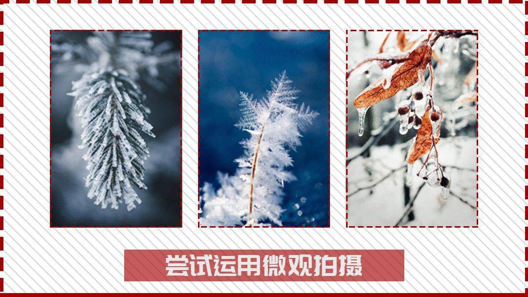 这些阴影可创造细节,并为您的照片增添趣味.