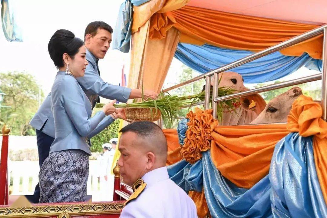 国王就准备给诗妮娜一份生日大礼, 泰王原定于这一天册封她为后,与