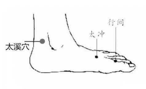 太溪:内踝高点与跟腱之间凹陷处.