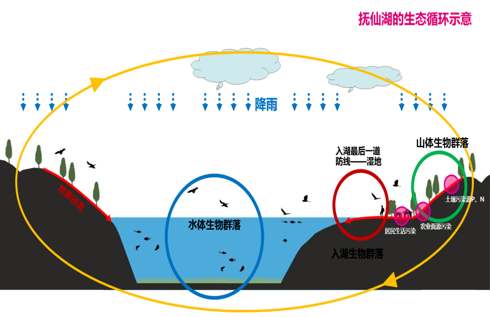 基于自然的解决方案典型案例之三:云南抚仙湖流域生态修复工程