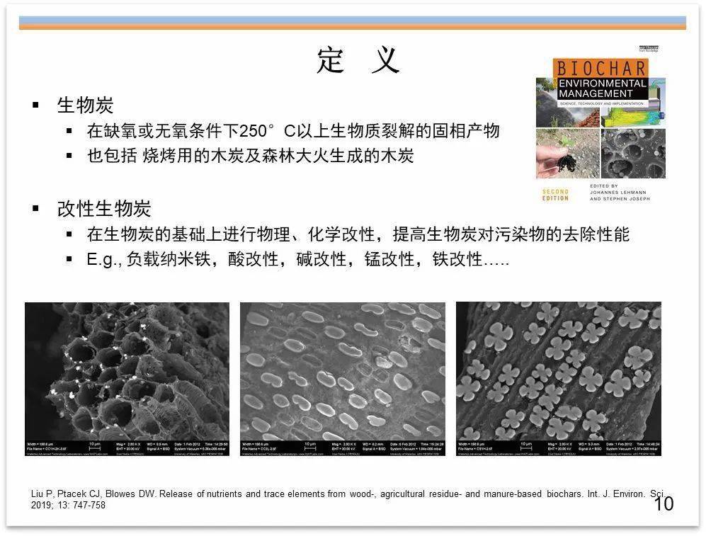 专家视角生物炭及改性生物炭在土壤改良水处理和环境修复中的应用