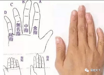 手相通过手指弯曲程度看一个人的性格