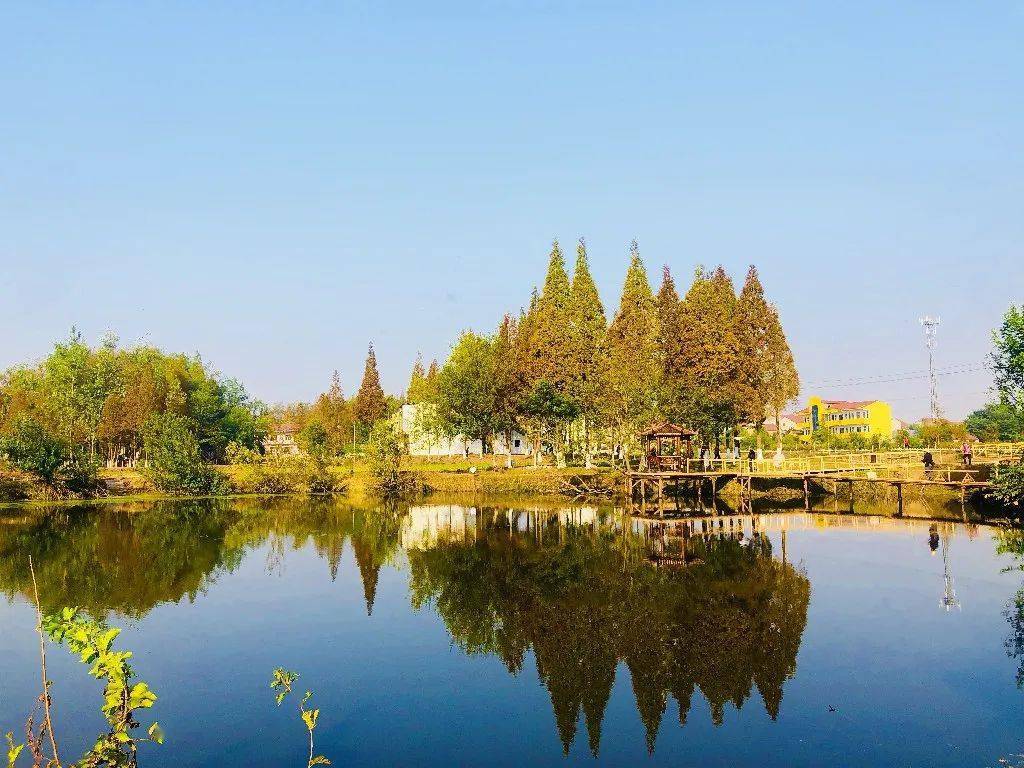 监利的湿地与水,美!