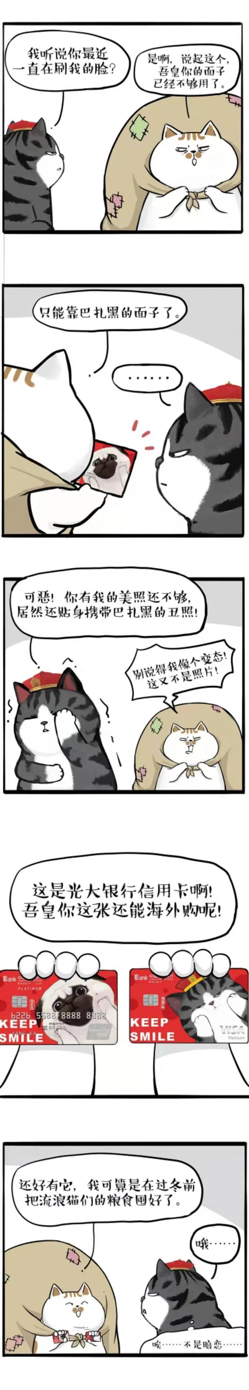 吾皇主题信用卡我还在打工遛狗他已经人生巅峰