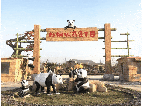 萌宠乐园带你走进动物世界