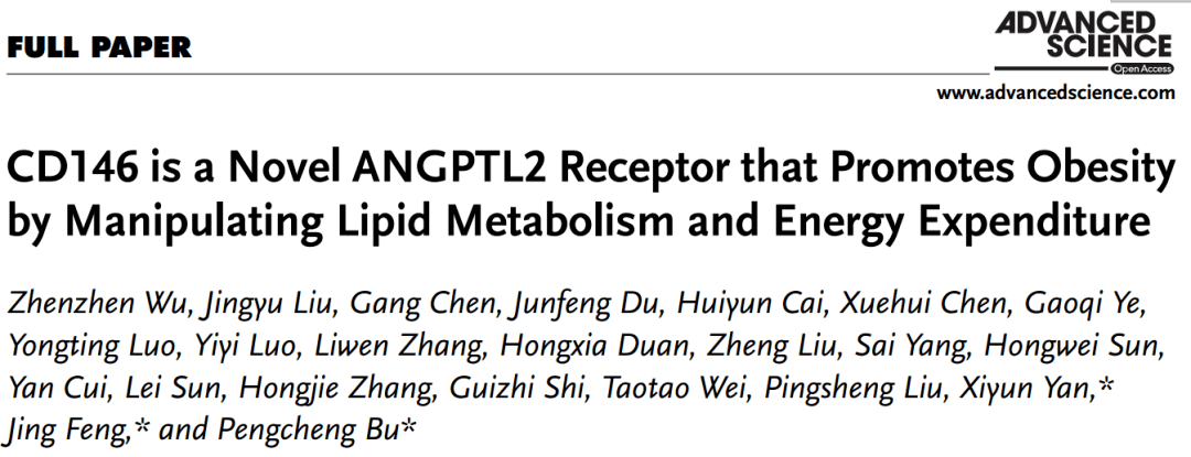 卜鹏程阎锡蕴团队揭示cd146在肥胖中的作用并提出相应治疗策略