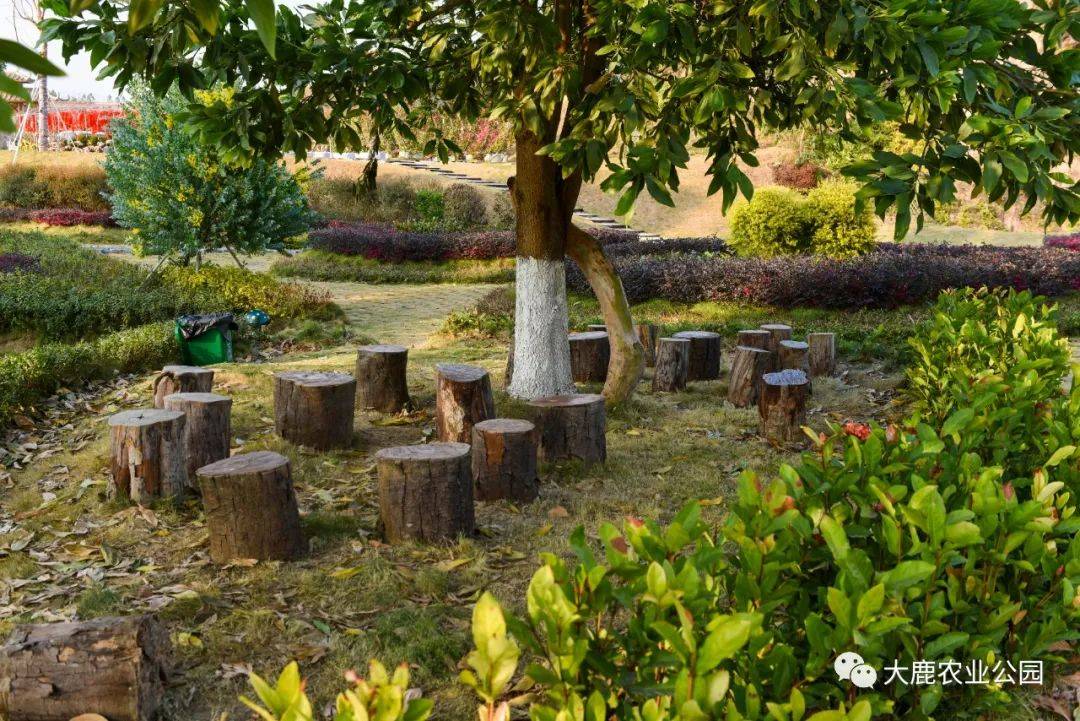 大鹿公园广德庵火炬村大鹿公园一天游