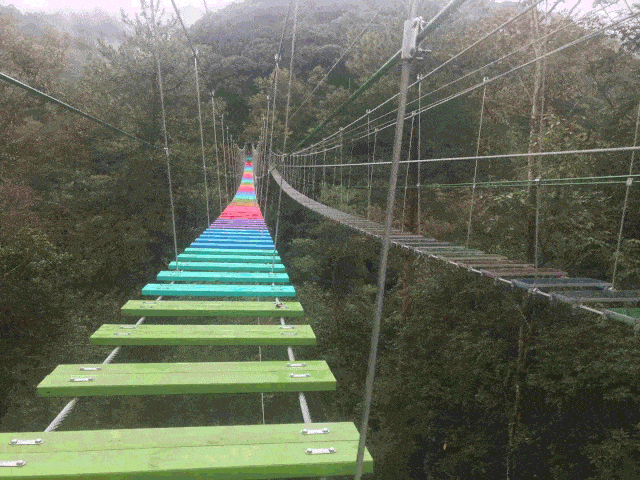 【悠悠古汀州,袅袅九溪庐】新春特惠378元/人起,九溪庐森林水乡,彩虹