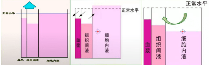 ▎ 脱水性质的区分