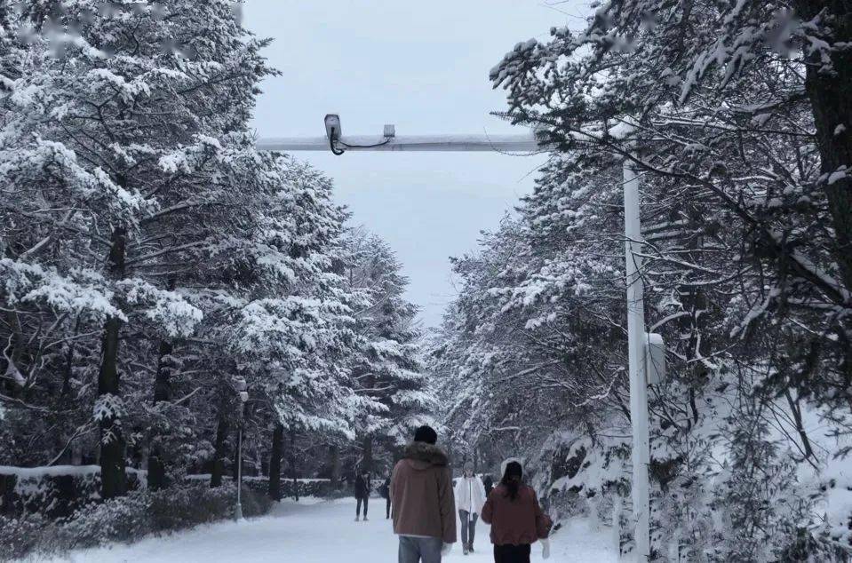 青春商院2021年的第一场雪景我同你一起回顾