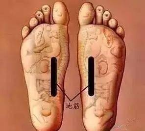 立春后,自然阳气萌生升发,气温,日照,降雨都开始上升或增多,春是温暖