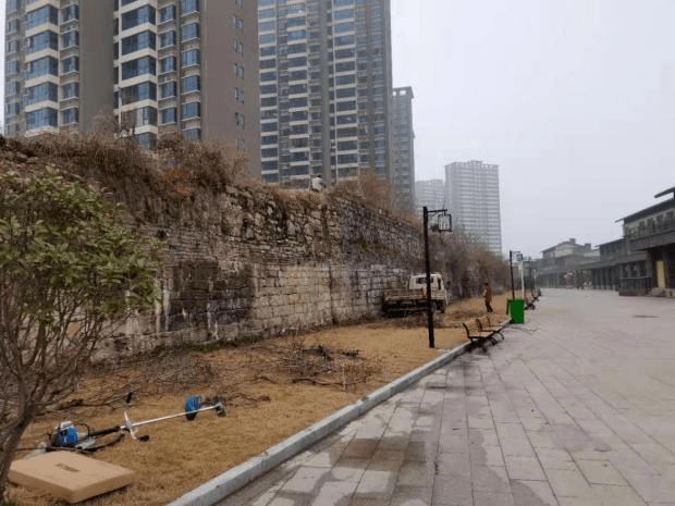 古城墙遗址(北段)杂木清理