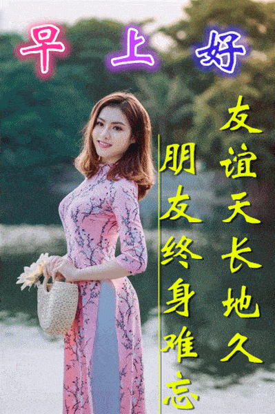 8张创意唯美旗袍美女早上好动画表情图片 免打字聊天