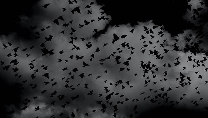 大多数人并不讨厌恐怖片——无论是心理惊悚片,血腥恐怖片,还是僵尸片