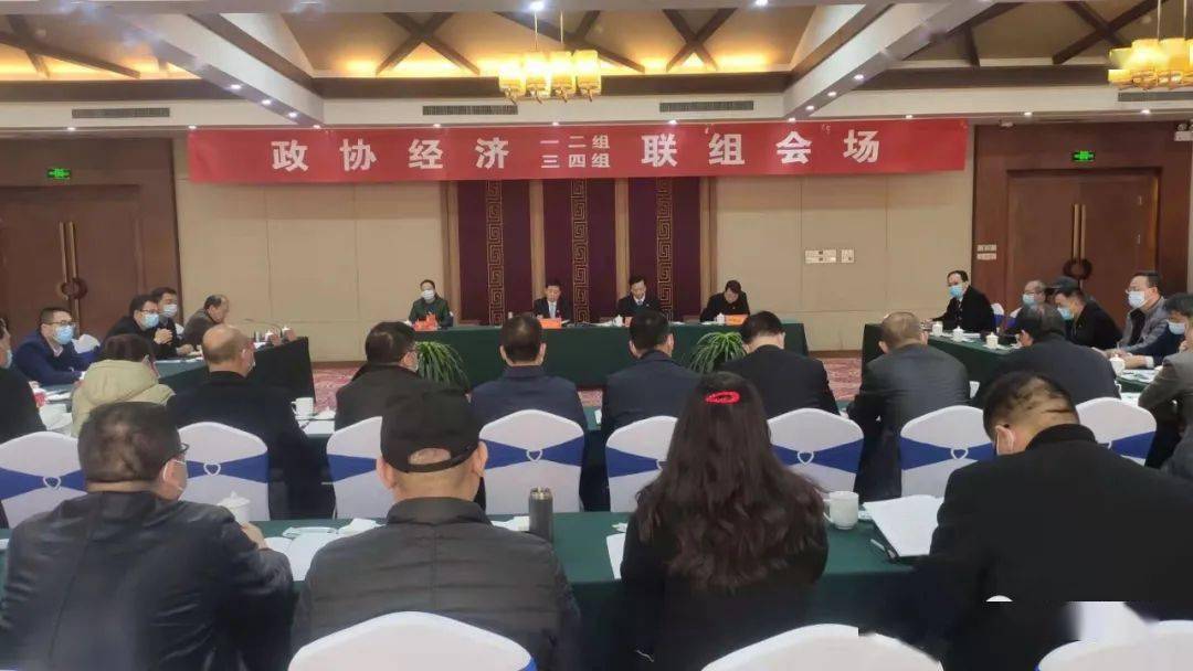 冯勇参加政协经济联组讨论时强调: 发挥优势 担当作为 助力陕州经济