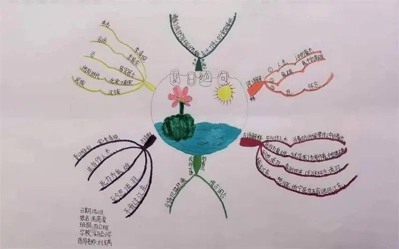 思维导图明星学员展