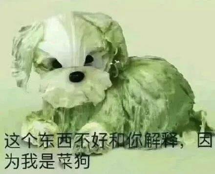 手机搜狐网