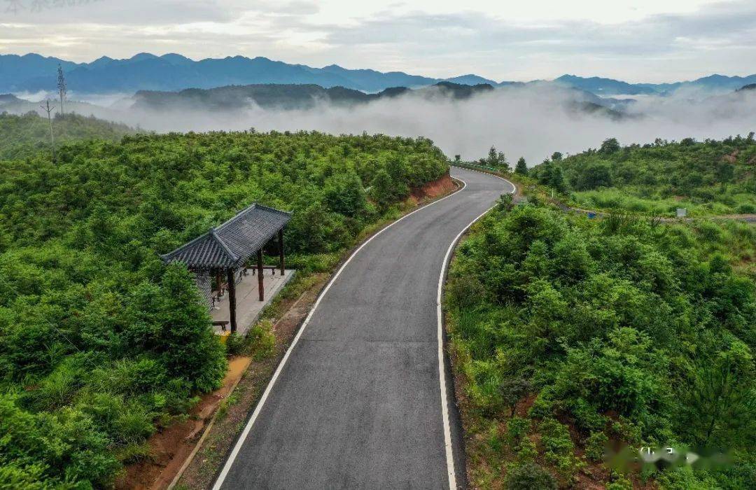 快速推进续建项目,确保完成s321椒江至武义公路仙居朱溪至白塔段工程