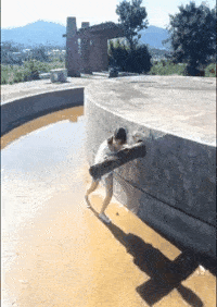 c65435a62e9d402fb65c5b1d11b951e5.gif