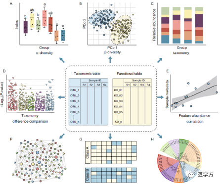 菌群数据的统计和可视化方法