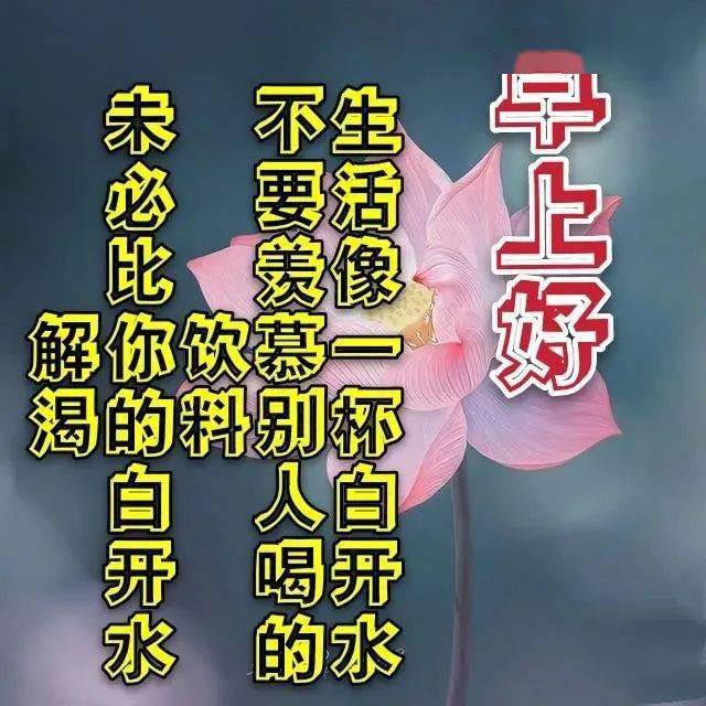 2月8日清晨早上好温馨问候图片,早晨好图片带字带祝福