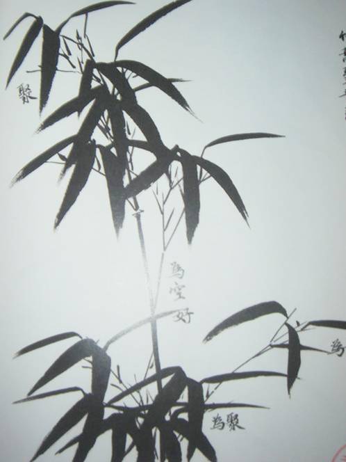 名师教你画写意竹子,讲的太精彩了!