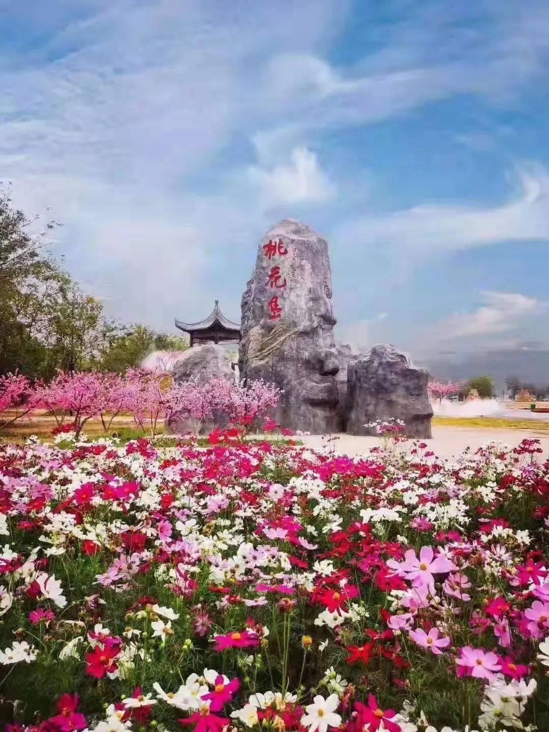 今天开通,吉安至吉水县旅游景点(桃花岛,进士文化园)公交旅游专线开通