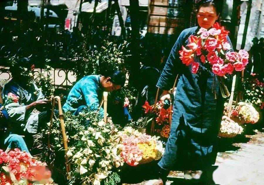 行花gai是老广过年的必备节目但大家知道花市究竟是怎么来的吗